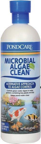 shop for API Pondcare Microbial Algae Clean Green Water Biological Inhibitor
